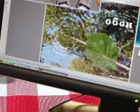 Обои для рабочего стола