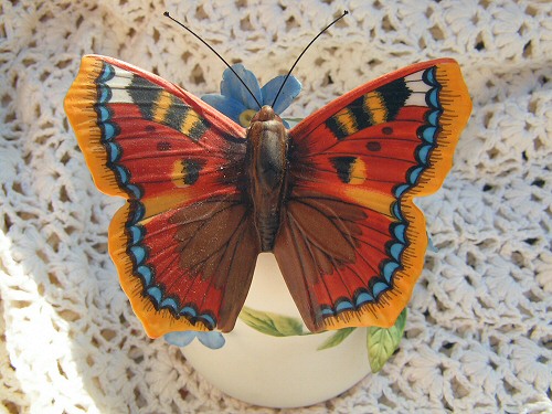 Крапивница, вид сверху.