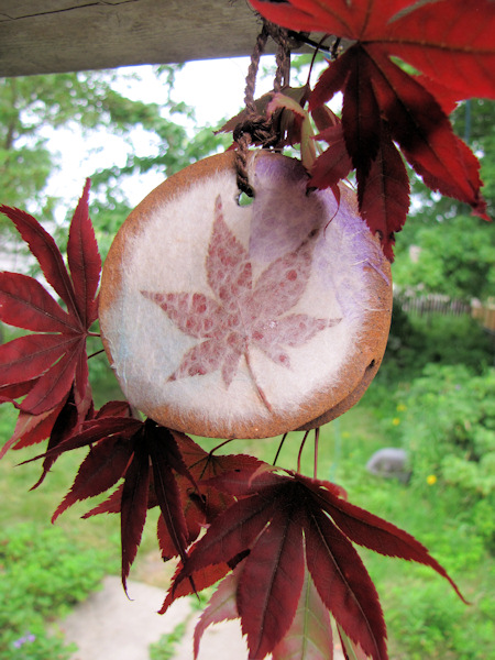 глина, рисовая бумага,
кленовый лист