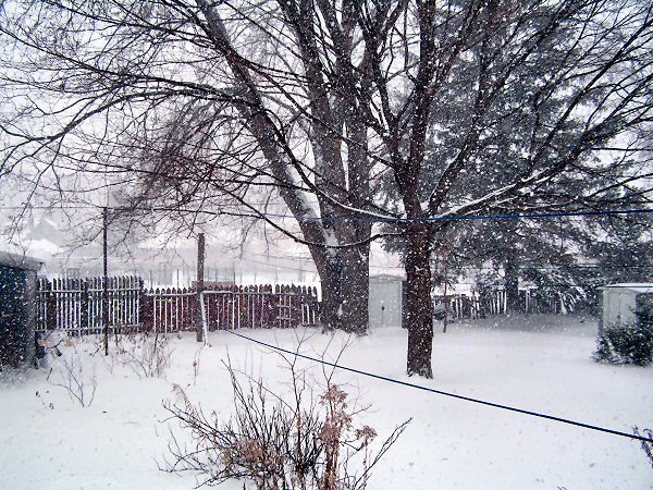2008_snowfall.jpg