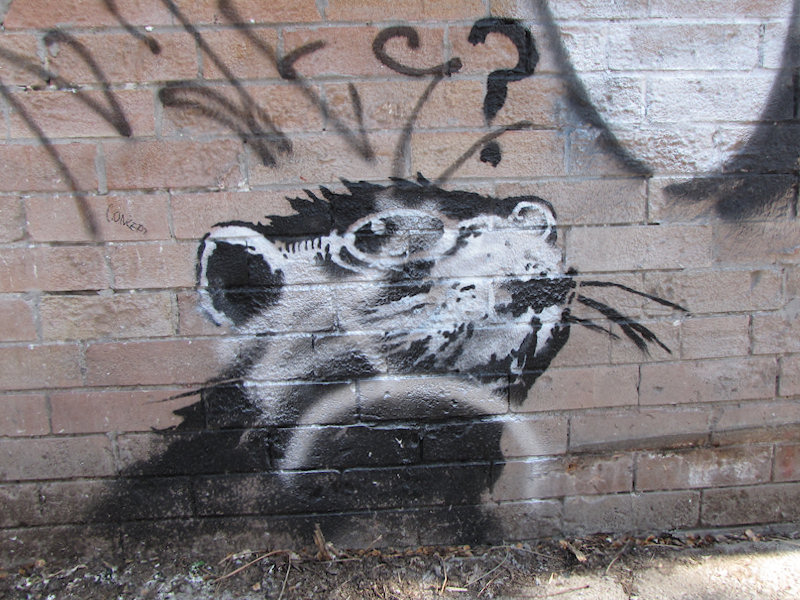 2010_05_banksy3.jpg