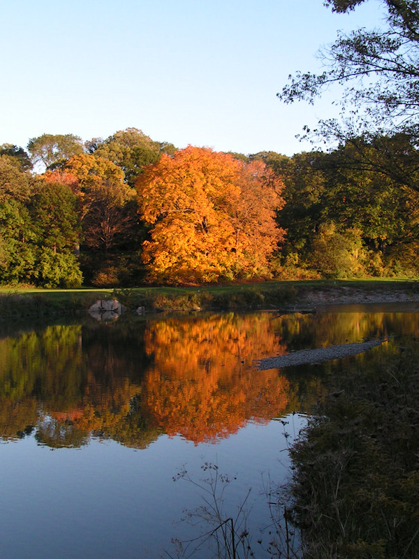 2006_fall03.jpg
