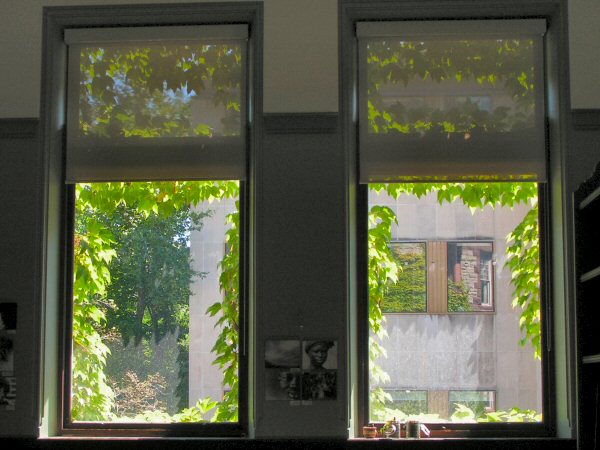 Victoria College, вид из студенческого кафе